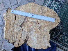 aspen stump bottom.jpg