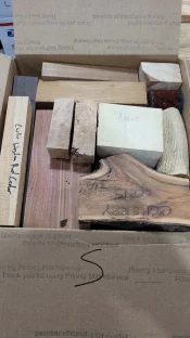 S3.webp