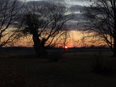 PXL_20260109_225127550.jpg