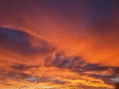 20260113_171806.webp