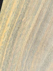 20260118_004425.webp