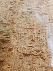 20260125_121936.jpg
