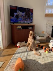 IMG_0076.jpeg