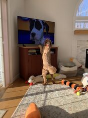 IMG_0074.jpeg