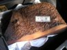 Madrone burl in trunk (600 x 449).jpg