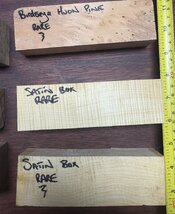 IMG_0169.jpeg