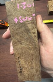 IMG_0186.jpeg