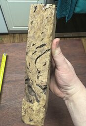 IMG_0192.jpeg