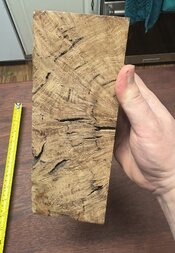 IMG_0193.jpeg