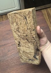IMG_0198.jpeg