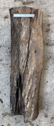 IMG_9734.jpeg