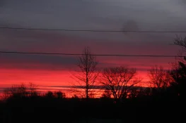 IMG_7518.webp
