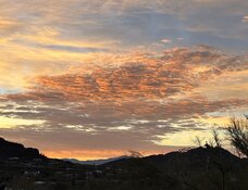 IMG_6922.jpeg
