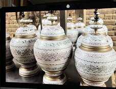 IMG_6923.jpeg