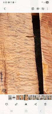 Screenshot_20260217_082335_Gallery.jpg