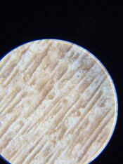 20260217_165221.jpg