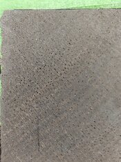 20260218_160518.jpg