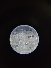 20260218_161112.jpg