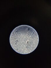 20260218_161247.jpg