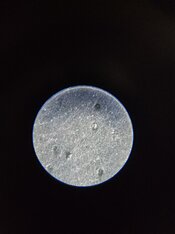 20260218_161344.jpg