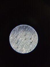 20260218_161430.jpg