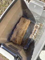 IMG_5805.jpeg