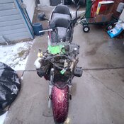 20260222_175343.jpg