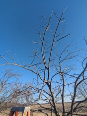 PXL_20260227_223204519.jpg