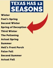 tx season.webp
