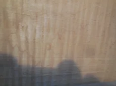 1772637078965.jpeg