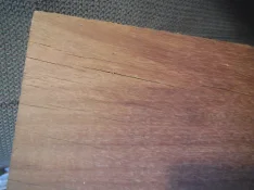 1772653326517.jpeg