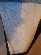 1772663991666.jpeg
