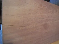 1772664056705.jpeg