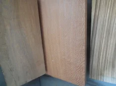 1772724462185.jpeg