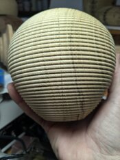 PXL_20260306_055154635.jpg