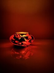 IMG_6977.jpeg