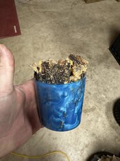 IMG_2791.jpeg