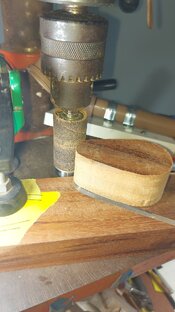 IMG-20260303-WA0011.jpeg