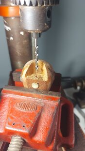 IMG-20260305-WA0029.jpeg