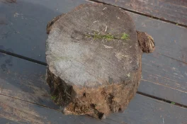 DSC_0002.JPG