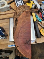 20260313_113009.jpg