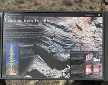 IMG_0711.jpeg