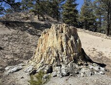IMG_0716.jpeg