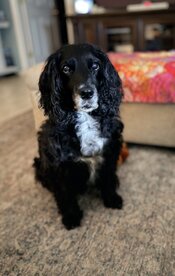 IMG_5122.jpeg