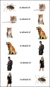 Circle of Life.webp