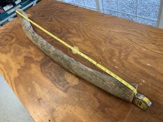IMG_0240.jpeg