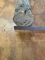 IMG_0241.jpeg