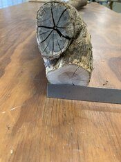 IMG_0242.jpeg
