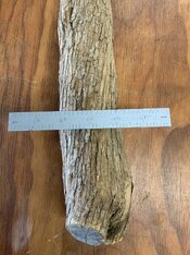 IMG_0243.jpeg