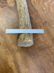 IMG_0244.jpeg